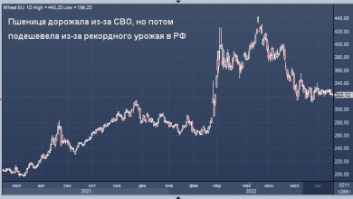 Photo of Экспорт пшеницы из России сократился из-за так называемых самосанкций