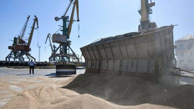Photo of Небензя: часть зерновой сделки, касающаяся экспорта из России, не работает