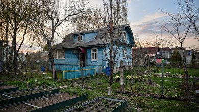 Photo of Путин призвал обеспечить ощутимый рост качества жизни на селе
