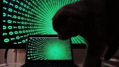 Photo of Эксперт: работа «белым хакером» может привести к уголовной ответственности
