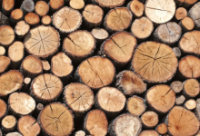 Photo of Спрос на дрова снова растет