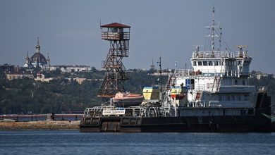 Photo of Из украинских портов вышли 12 судов с зерном