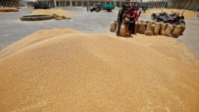 Photo of В 2023 году в Индии ожидается рекордный урожай пшеницы