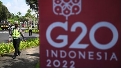 Photo of «Большая двадцатка» отметила важность полного исполнения «зерновой сделки»
