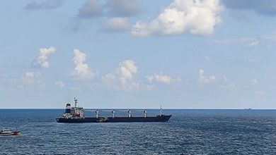 Photo of ООН назвала дату возобновления движения судов с зерном в Черном море