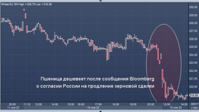 Photo of Пшеница дешевеет после сообщения о согласии России на продление зерновой сделки