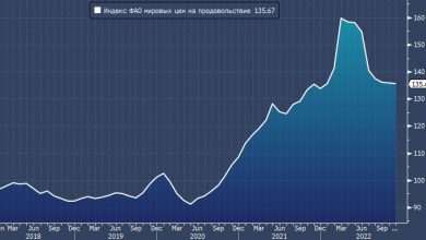 Photo of Мировые цены на продовольствие продолжат снижаться в ноябре