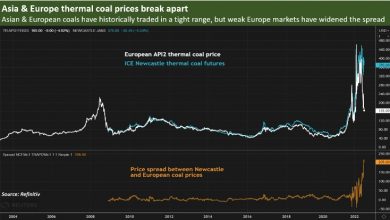 Photo of Падение цен на газ в Европе потрясло мировые рынки угля