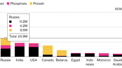 Photo of Забудьте про нефть и биткоин. Удобрения — вот новое золото мировой экономики