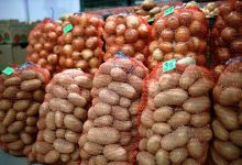 Photo of В России обсуждают неожиданное ограничение на продажу картофеля