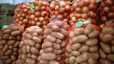 Photo of В России обсуждают неожиданное ограничение на продажу картофеля