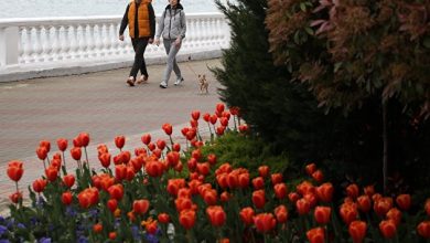 Photo of Стало известно, сколько россиян хотели бы перенести зимние каникулы на май
