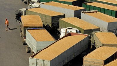 Photo of Реализация зерновой сделки без участия России невозможна, заявили в МИД