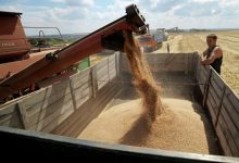 Photo of Россия поставила рекордный объем пшеницы в 2022-2023 годах