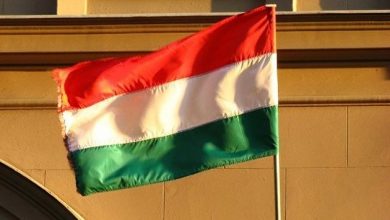 Photo of Глава минсельхоза Венгрии призвал продлить и расширить «зерновую сделку»