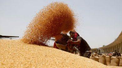 Photo of Запасы пшеницы в Индии упали до 7-летнего минимума после рекордной государственной продажи
