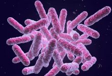 Photo of ЕС одобрил новый антибиотик для борьбы с супербактериями