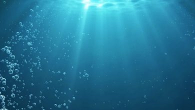 Photo of Ученые обнаружили «темный кислород», вырабатываемый металлами морского дна