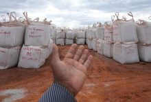 Photo of Рынок «зеленого сырья» как фактор инфляции