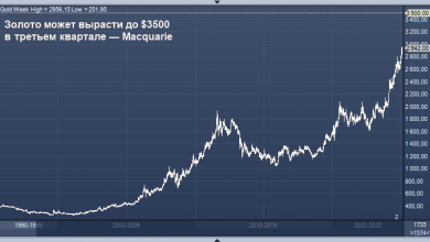 Photo of Macquarie утверждает, что золото может вырасти в третьем квартале